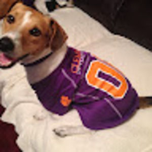 Meet your Posher, Tracy